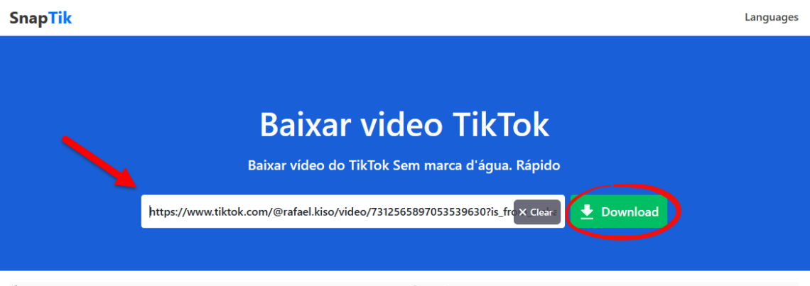 Como baixar vídeos do TikTok para o PC Conectando Net