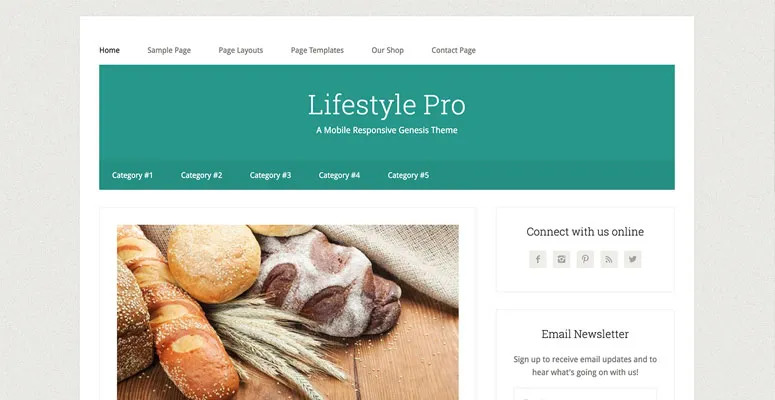 Lifestyle Pro theme