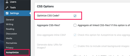 Otimizar código CSS autoptimize