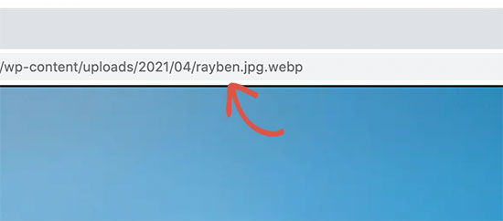 Verifique se a imagem WebP é veiculada