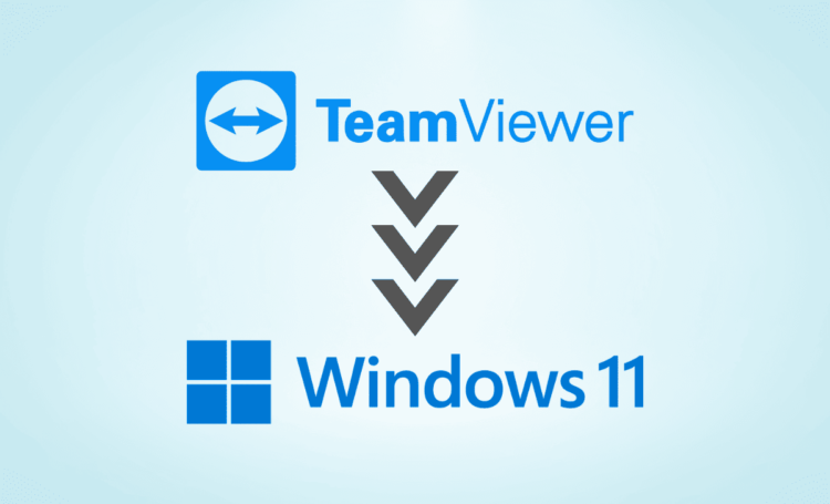 instalar o TeamViewer no Windows 11