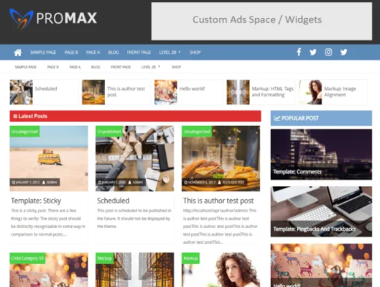 ProMax Adsense theme WordPress