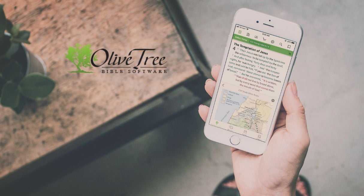 Olive Tree bible study