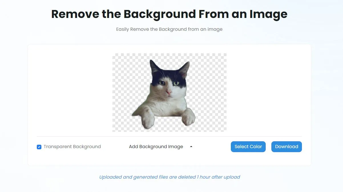 Como remover fundos de fotos com TinyWow