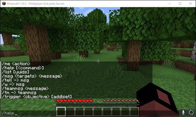 Minecraft chat console